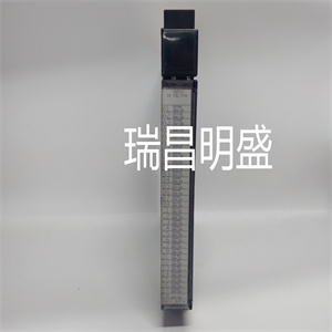 IC697MDL653