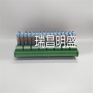 R-S108V01-16-24VDC-C10-1