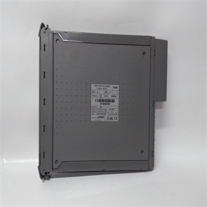 VIBRO 204-677-000-003  现场处理器 库存现货