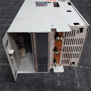 VIBRO 204-215-000-101 ACM215 现场处理器 库存现货