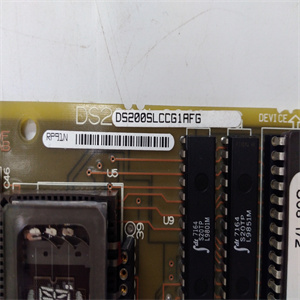 DS200SLCCG1AFG DS215SLCCG1AZZ01A