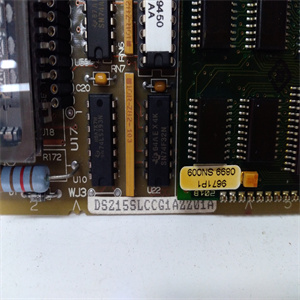 DS200SLCCG1AFG DS215SLCCG1AZZ01A