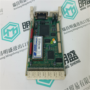 DS3815PFZA1F1A DS3800HFXB1K1F 模拟量控制扩展卡 GE