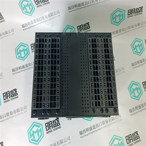 ICS TRIPLEX T8431  PLC/DCS卡件