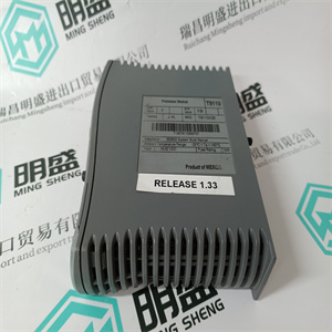 GE DS200FHVAG1ABA模块备件原厂原装