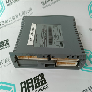 GE DS200RTBAG3AHC模块备件原厂原装