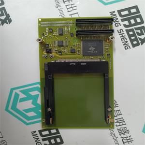 M0066932.01 SZM 用于驱动控制输入安全模块 SCHENCK