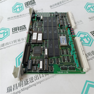 P205-18425-1 用于数据控制模拟控制器主卡 TERMOTEK