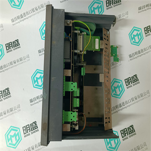 SCHENCK 用于控制器输入控制单元 VCU 20104 V064005.B01