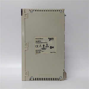 CHA-20A-100-L-M1024-B-SP 模块备件