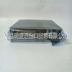 ICS TRIPLEX T8110B PLC/DCS卡件