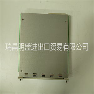 Bently Nevada 3300/48