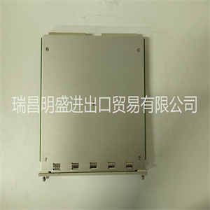 Bently Nevada 3300/48