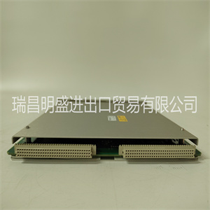 Bently Nevada 3300/48