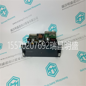 GRENZEBACH GB67458 燃机模块