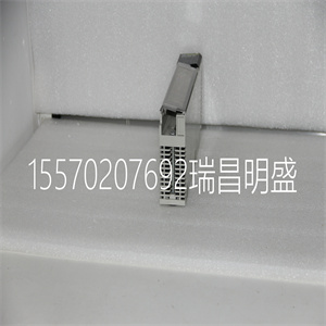 490NTW00080模块备件