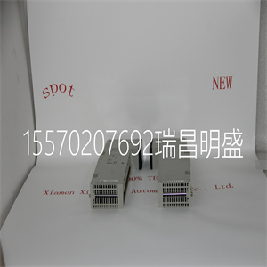 AS-BDEP-210模块备件