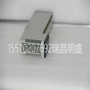 AS-BDAU-202模块备件
