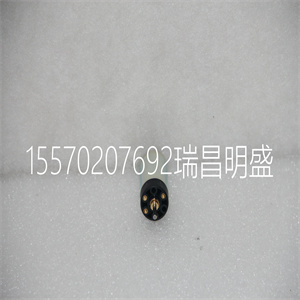 2338S024S