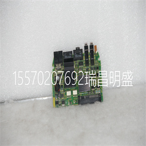 A290-0561-V531