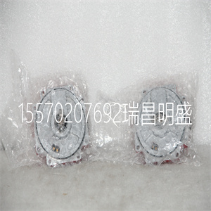 AA1000S