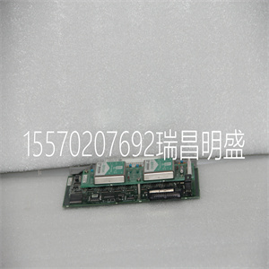 AMM42
