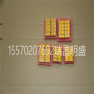 DS2E-M-DC24V模块备件
