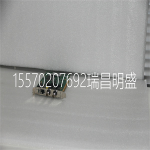 控制板本特利BENTLY本特利21000-16-10-00-256-03-02