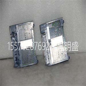 控制板  IC200ALG620