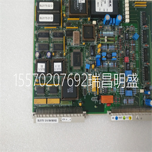 TEAM BL0170