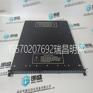 TRICONEX 3625A