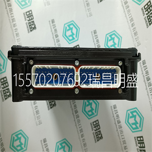 Woodward 8915-123模块现货