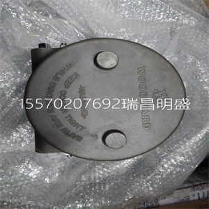 Woodward 9907-019模块备件