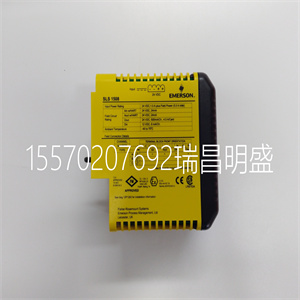 EPRO MMS6220 偏心监测板电源板卡件