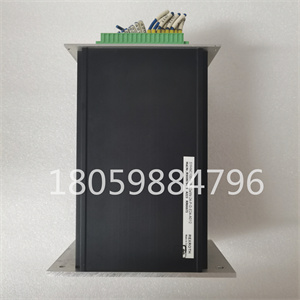 GE DS215GASCG4AZZ01A 模块控制器